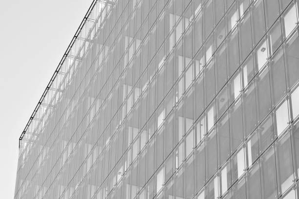 istock Modern apartment building exterior. Black and white. 991351052