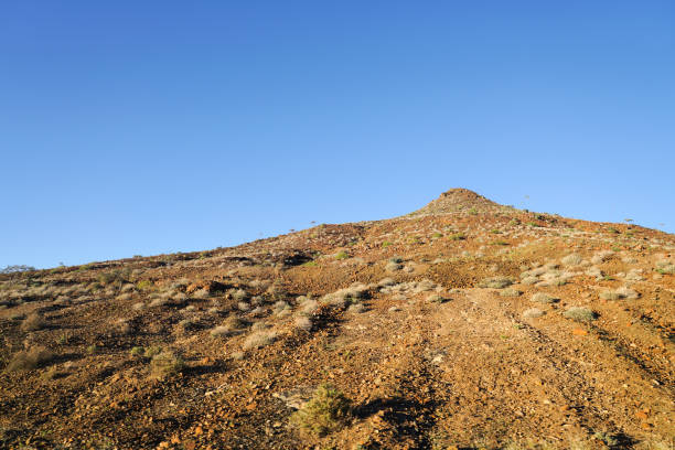 стоуни вершина с кустарниковой растительностью под голубым небом - scrubby стоковые фото и изображения