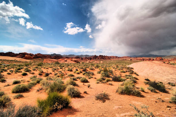 istock Valley of Fire National Park 991363876