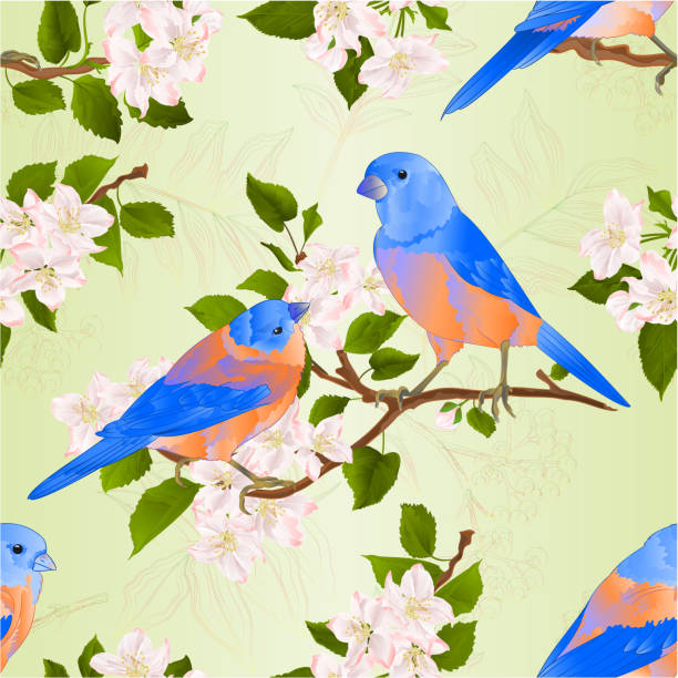 illustrazioni stock, clip art, cartoni animati e icone di tendenza di texture senza cuciture bluebirds tordo piccoli songbirdons su un ramo di melo con fiori illustrazione vettoriale vintage modificabile - spring birdsong bird seamless