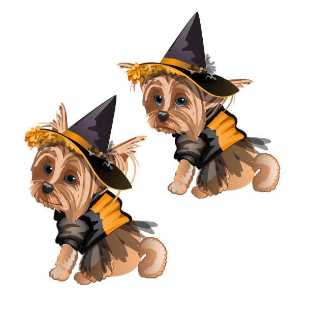 istock Yorkshire Terrier in witch costume isolated on white background. Cute animated dog in a witch hat. Sketch for greeting card, festive poster or party invitations. The attributes of holiday Halloween 991378150