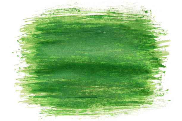 dipinto disegnato a mano pennello verde acquerello pennello tratto dipinto isolato su bianco - art freedom paintbrush painting foto e immagini stock