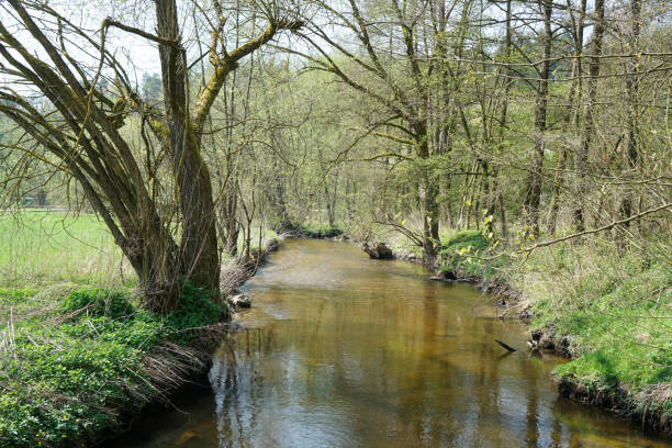istock At a small stream in the Bavarian Germany 991378990