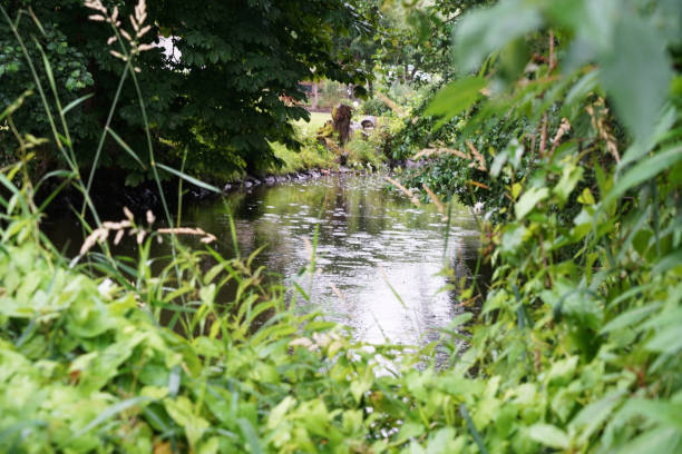 istock At a small stream in the Bavarian Germany 991385474