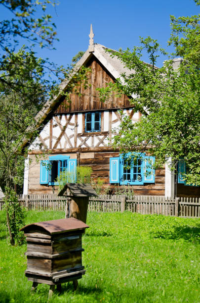 vintage rural hut (19th c.) from nowe kawkowo village. - thatched roof imagens e fotografias de stock