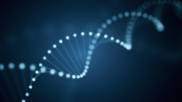 3d illustration des tournantes rougeoyante molécule d’adn sur fond bleu - dna helix molecular structure chromosome photos et images de collection