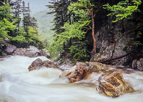 Glen Ellis Falls Trail isl located near Gorham, New Hampshire