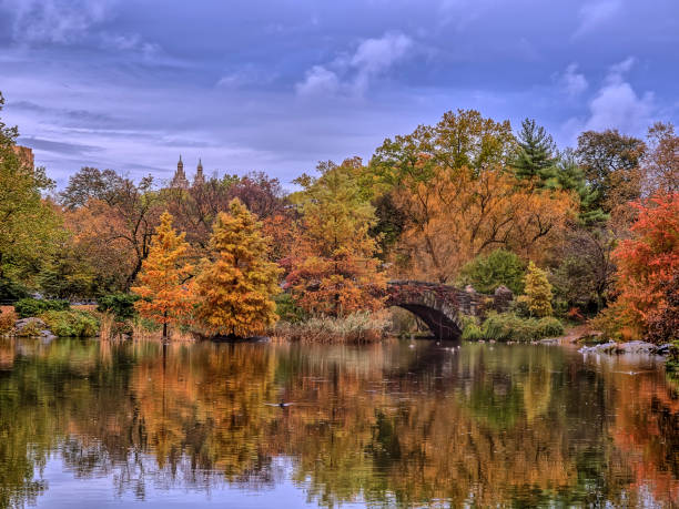 istock Gapstow bridge Central Park, New York City 991423046