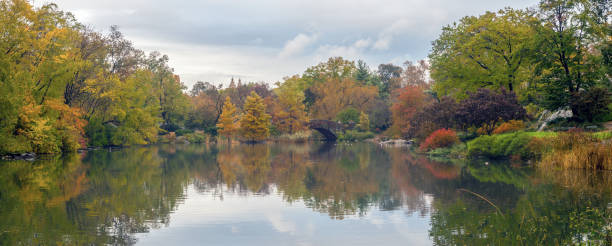 istock Gapstow bridge Central Park, New York City 991423800