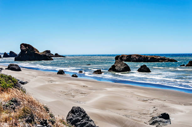 istock Beach Views by Meyers Creek Oregon Coastline with Shifting Sand 991424768