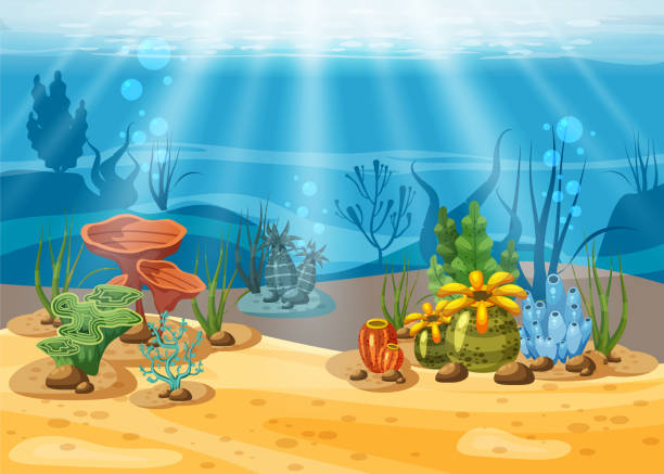 ilustrações de stock, clip art, desenhos animados e ícones de underwater illustration and life. the beauty of marine life. algae and coral reefs are beautiful and colorful, vector, isolated, cartoon style - starting at the bottom