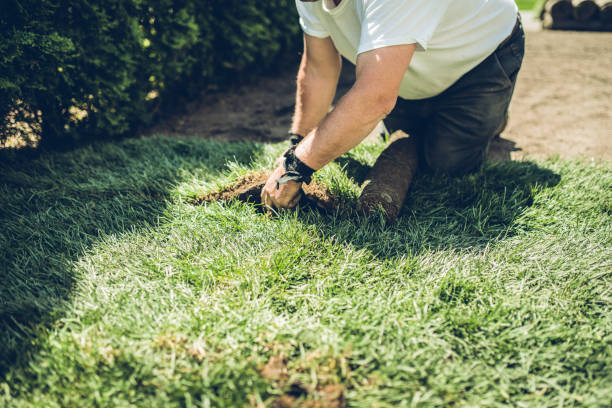 istock The new garden is almost ready 991437636