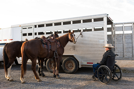 Many Amish Horses are hitched to one hitching rail.