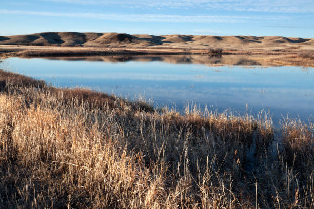 istock Grasslands National Park Saskatchewan Canada 991444036
