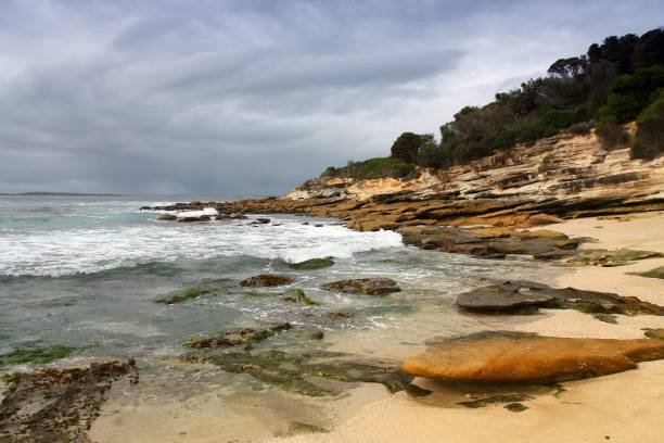 istock New South Wales 991449488