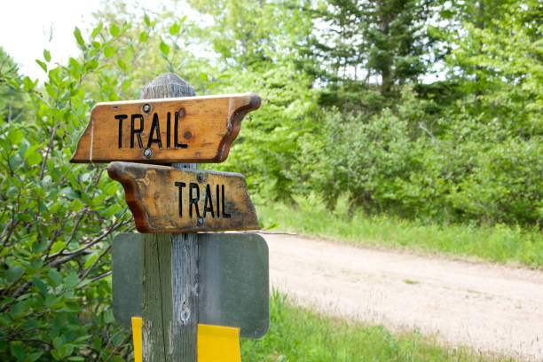 Two wooden signs indicate which direction a forest trail goes