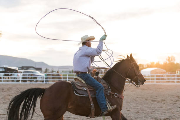 istock Young man lasso in air rodeo practice at ranch evening light behind him 991460082
