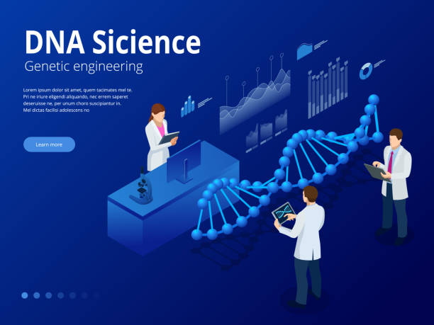 izometryczna cyfrowa struktura dna w niebieskim tle. koncepcja naukowa. sekwencja dna, ilustracja wektorowa nanotechnologii. - dna backgrounds healthcare and medicine magnification stock illustrations