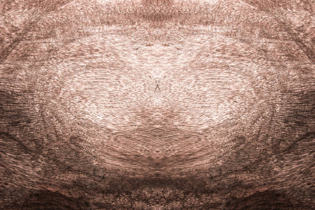 Brown wood texture background / wood texture with natural pattern / old wood texture background