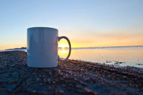 istock A solo blank white coffee mug on the bug filled shoreline 991504396