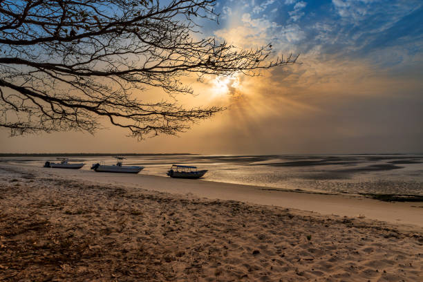 View of a beautiful deserted beach in the island of Orango at sunset, in Guinea Bissau. View of a beautiful deserted beach in the island of Orango at sunset, in Guinea Bissau. Orango is part of the Bijagos Archipelago; Concept for travel in Africa and summer vacations west africa coast photos stock pictures, royalty-free photos & images