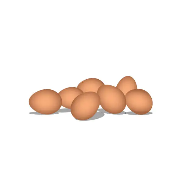 Vector illustration of eggs vector