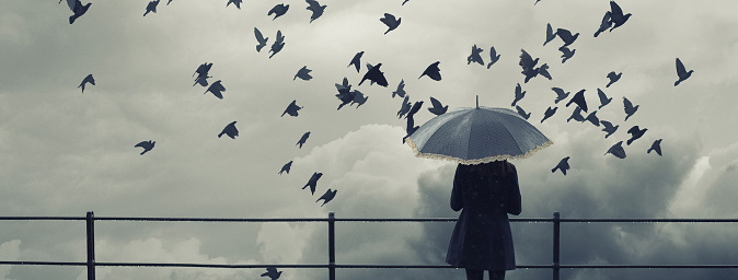 Lonely woman with umbrella watching flock of birds flying on cloudy winter day.