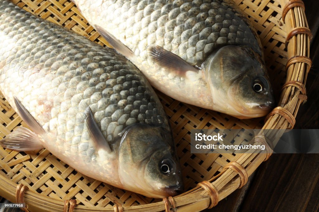 흰색 바탕에 잉어 격리 됨 0명에 대한 스톡 사진 및 기타 이미지 - 0명, 고기, 날것 - iStock