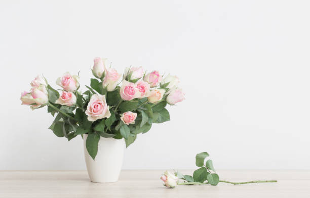 istock pink roses in vase on white background 991578224