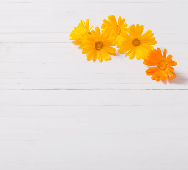 istock Calendula (Marigold) herbal tea  on white wooden table 991578272