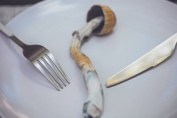 Magic mushroom - fotografia de stock