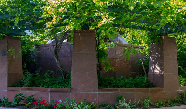 istock Beautiful foliage in Temple Square 991582852