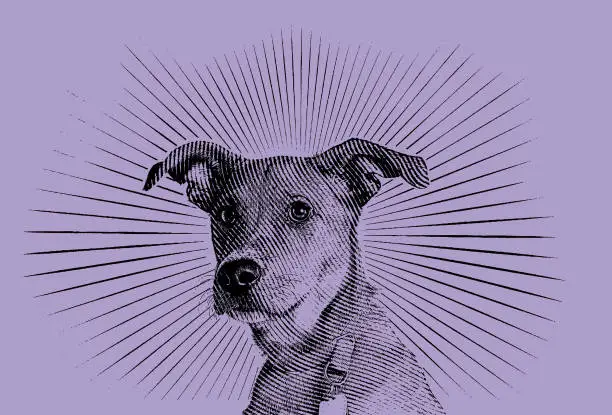 Vector illustration of Terrier mixed breed dog hoping to be adopted