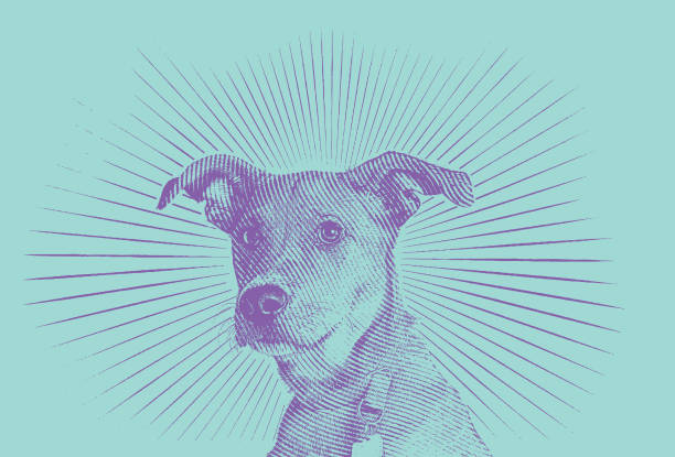 terrier mischling hund angenommen werden in der hoffnung - mixed breed dog illustrations stock-grafiken, -clipart, -cartoons und -symbole