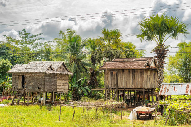 istock Typical houses in countryside in Cambodia. 991600050