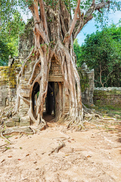 istock Ta Som a small temple at Angkor, Cambodia, 991600864