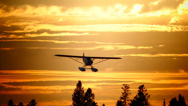 istock Plane in a sunset over the mountain 991614608