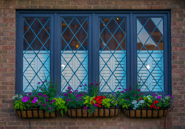 istock Flower pots with colorful flowers outside windows 991661328