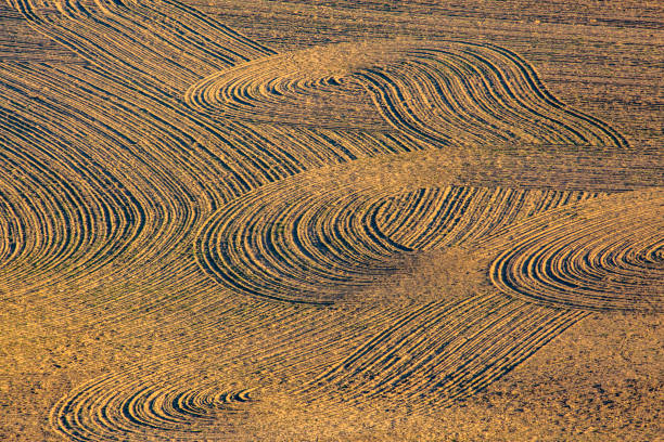 istock Freshly tilled farmland at sunset on a small hill 991661922