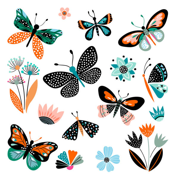 Butterflies and flowers, hand drawn collection Butterflies and flowers, hand drawn collection of different elements, isolated on white butterfly wing patterns stock illustrations