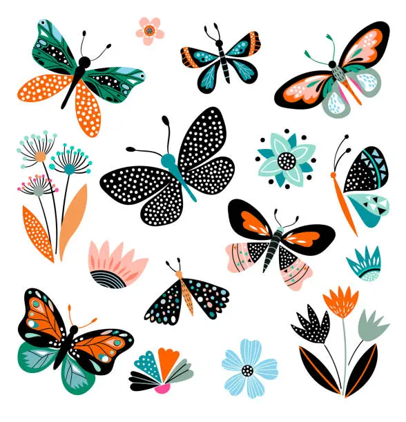 Vector illustration of Butterflies and flowers, hand drawn collection