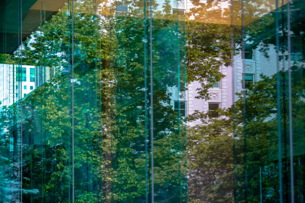 istock Glass windows on building in Temple Square 991678812