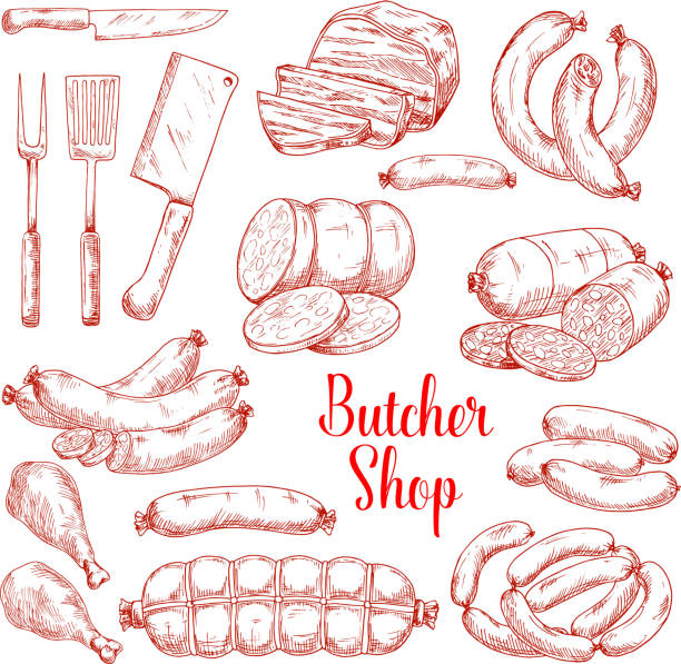 Vector sketch icons of butchery meat products Butcher shop meat products vector isolated sketch icons. Butchery gourmet delicatessen and gastronomy brats and frankfurter sausages. ham or hamon and bacon brisket, wiener and frankfurter salami or cervelat butcher illustrations stock illustrations