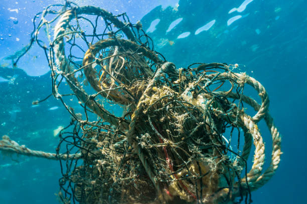 ochrona środowiska problem zanieczyszczenia oceanów ghost net przemysłu rybackiego - jednorazowa lina zdjęcia i obrazy z banku zdjęć
