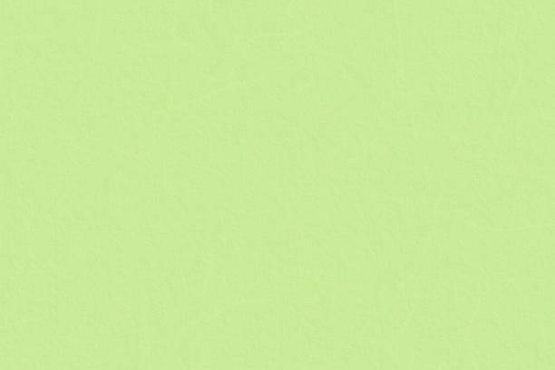 istock Background of light green cardboard texture 991807958