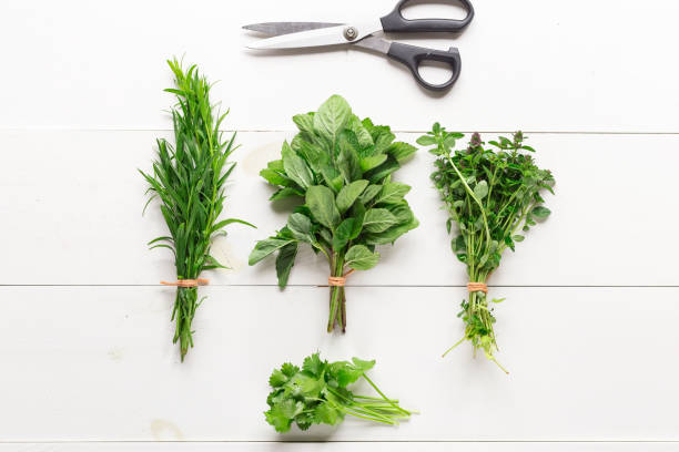 istock Fresh herbs, estragon, mint, coriander, thymus lie a bunch on a wooden white table. Top view 991817180