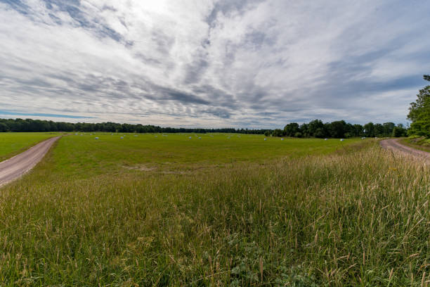 istock overlooking a field with white sialge bales 991820104
