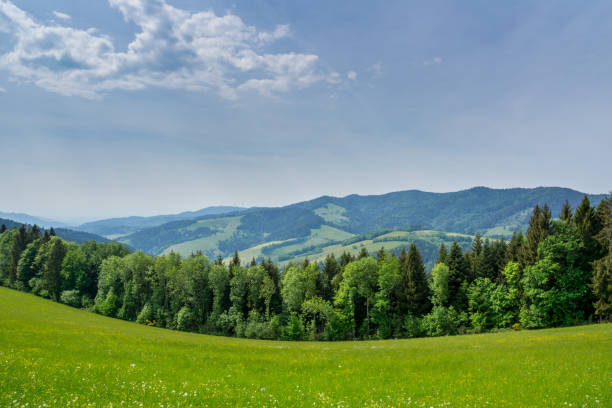 istock Germany, Black forest hiking landscape panorama 991828562