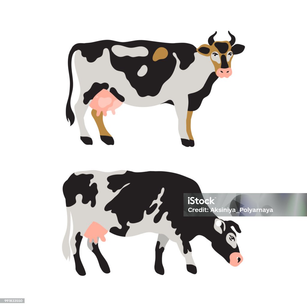 Bộ Bò Sữa Được Phát Hiện Trong Màu Đen Trắng Xám Vàng Và Hồng Nông ...