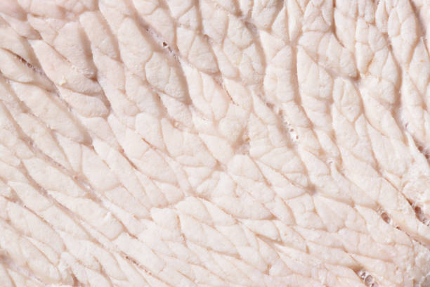istock The texture of boiled turkey meat close-up 991833844